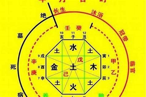 八字天醫|八字神煞解析——天醫貴人